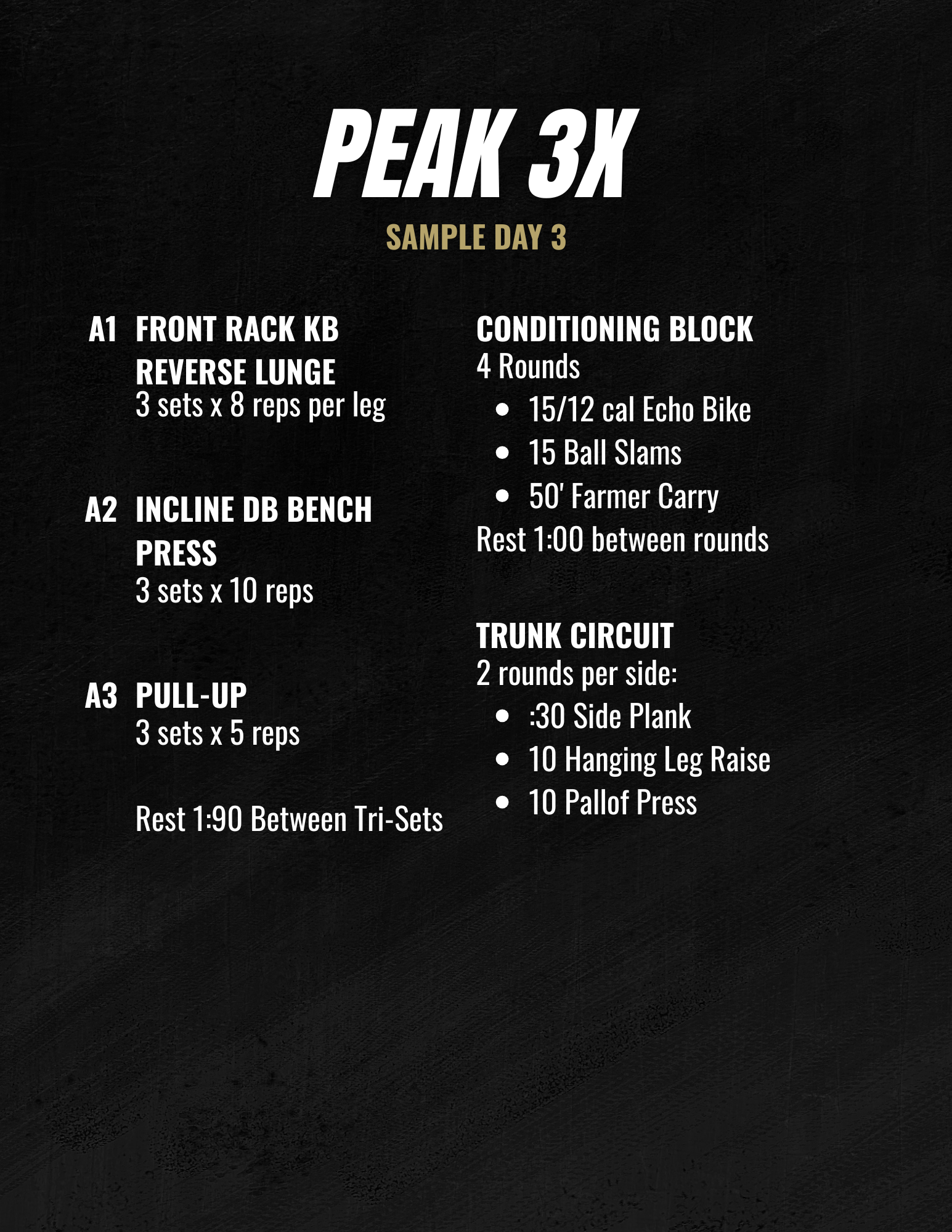 PEAK 3X sample slide 8